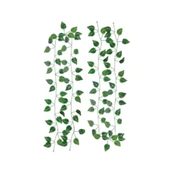 JARDIN ENREDADERA DE HOJAS VERDE CLARO